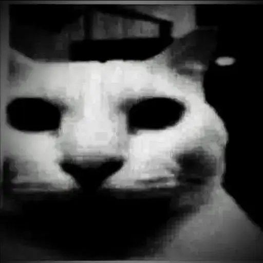 Test image